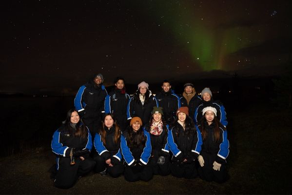 Chasing Lights by null