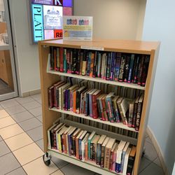 Jan Kaminis Platt Regional Library - Little cart book sale