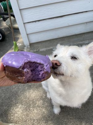 Gurnee Donuts by null