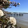 Photo of Tydings Park & Promenade