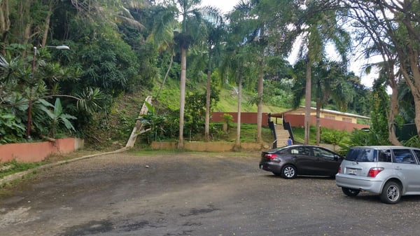 Ceiba Country Inn Bed & Breakfast by null