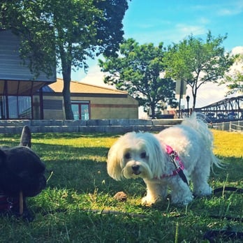 The Fetching Hound - Bella and Layla taking a break on a hot summer day! - Dog Walkers Near Me