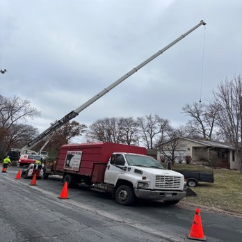 Central MN Tree Service - Tree Services Near Me Central MN Tree Service - Tree Services Near Me