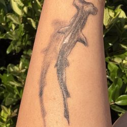 Doc Burns - Nocturnal Body Art - A Great Hammerhead