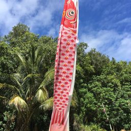 Giant Koinobori! Probably 20' long Giant Koinobori! Probably 20' long