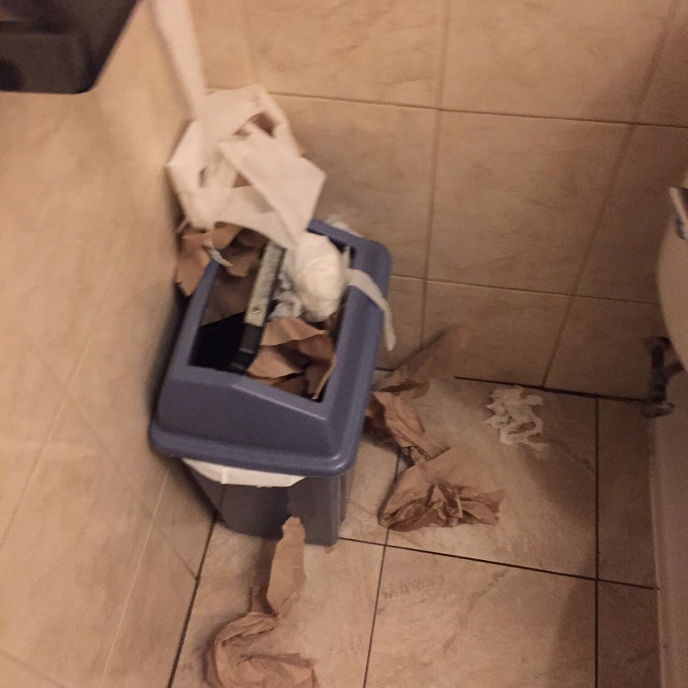 Cinco de Mayo - Horrible bathroom - Mexican Near Me - Bayside, New York Cinco de Mayo - Horrible bathroom - Mexican Near Me - Bayside, New York