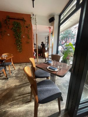 Boni and Mott by null