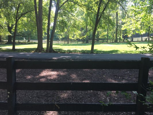 Foxstone Park by null