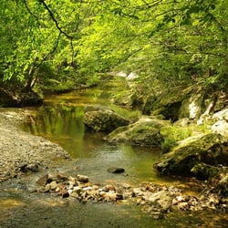 Alum Spring Park