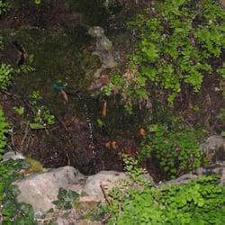 Fuente del Batán - Fuente del Batán