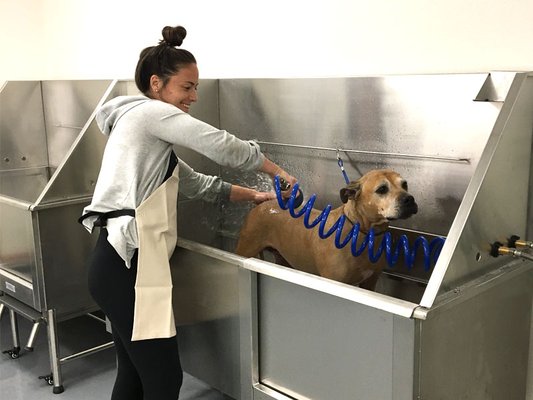 Centinela Feed & Pet Supplies