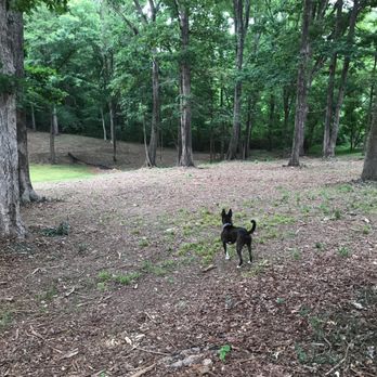 Canine Commons Dog Park - Dog Parks Near Me - Pineville, North Carolina Canine Commons Dog Park - Dog Parks Near Me - Pineville, North Carolina