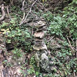 Rozarks Nature Trail