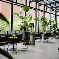 Second Floor - Our Terrace