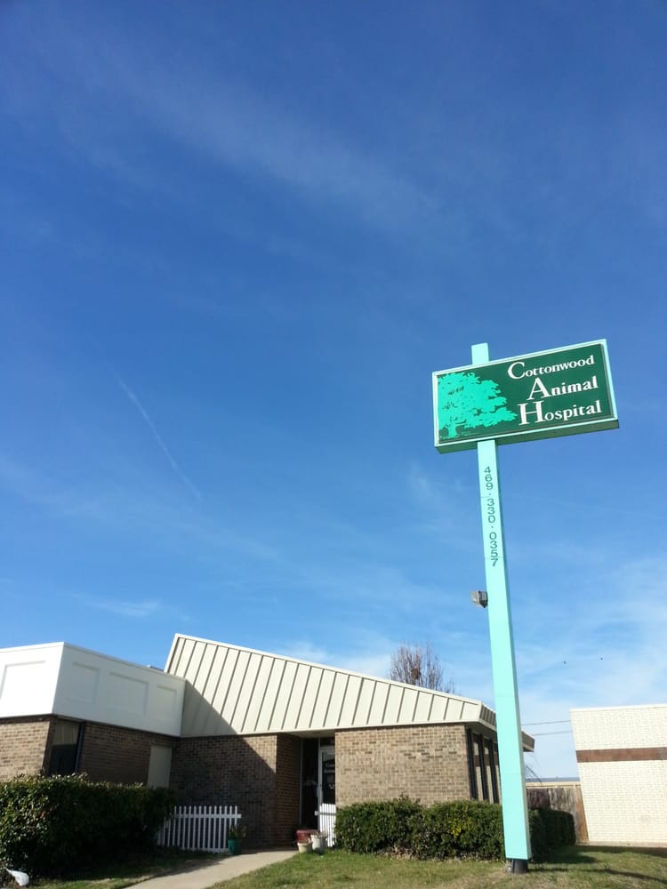 COTTONWOOD ANIMAL HOSPITAL Updated May 2024 11 Reviews 14055