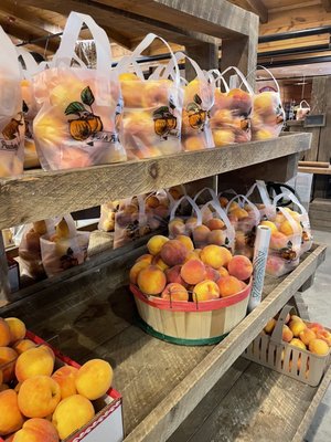 Mercier Orchards by null