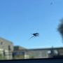 Photo of California Auto Glass Repair