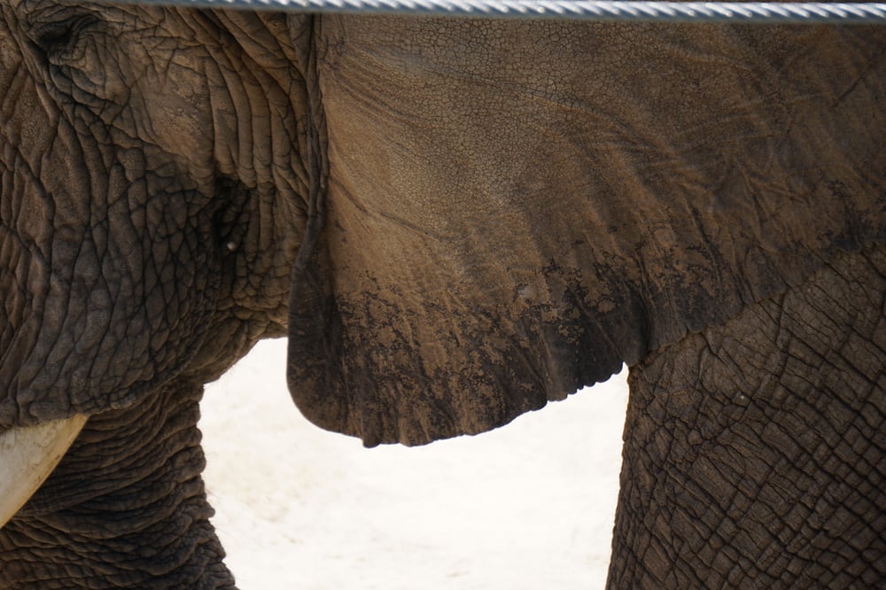 Cynthia LeBlanc, LMFT - grief counselor in Colorado Springs, CO