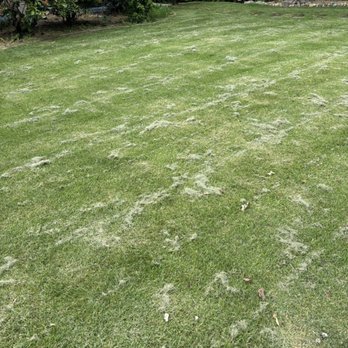 J&N Landscaping Solutions - Lawn Services Near Me J&N Landscaping Solutions - Lawn Services Near Me