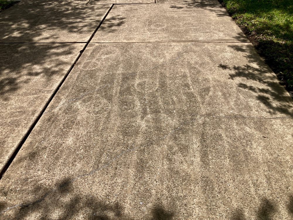 Nasario Lara - tree service in Houston, TX