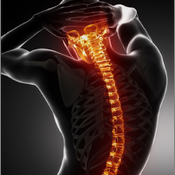 Holman Chiropractic - For Over 23 years Dr. Holman has been caring for spines in Houston, Texas and surrounding areas...