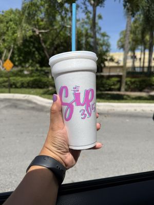 Sip 305 (Kendall) by null