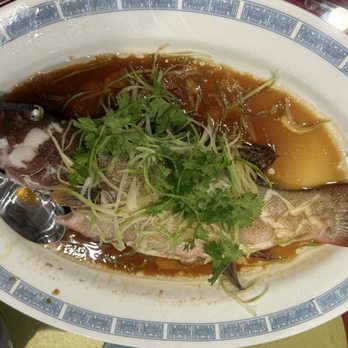 Crystal Palace - This fish was FANTASTIC!!! Very fresh!! STEAMED CORAL TROUT - Dim Sum Near Me - Monterey Park, California