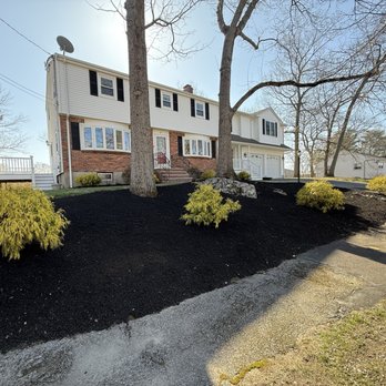 Omar Masonry And Painting - New shrubs and mulch - Landscaping Near Me Omar Masonry And Painting - New shrubs and mulch - Landscaping Near Me