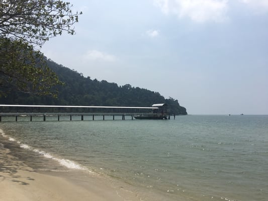 Penang National Park by null