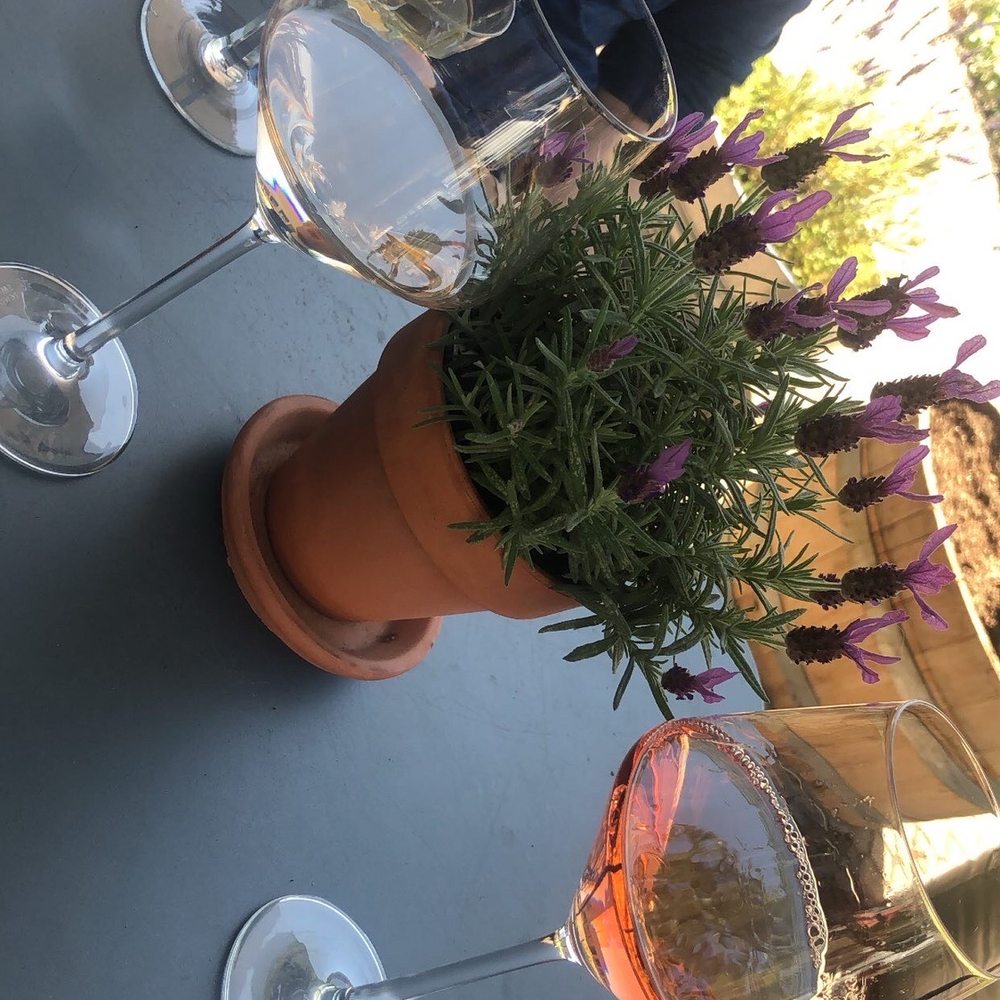 Hollie's Homegrown - Wine tasting! - Herbs & Spices Near Me - Lafayette, California