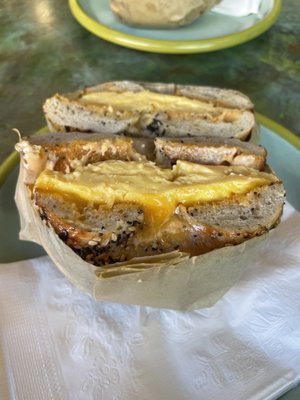 The Blue Light Speak Cheesy by null