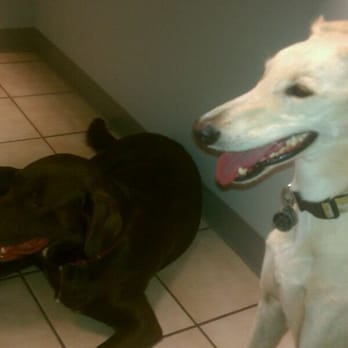 Paleface Veterinary Clinic - P and Z - Veterinarians Near Me - Spicewood, Texas Paleface Veterinary Clinic - P and Z - Veterinarians Near Me - Spicewood, Texas
