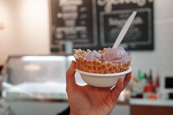 Jeni's Splendid Ice Creams by null