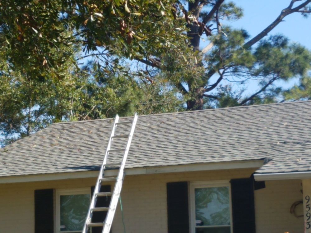 Slide of Hammertime Construction