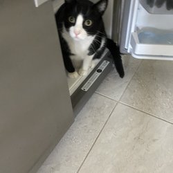 Sutherland General Store - Where's my new food?
