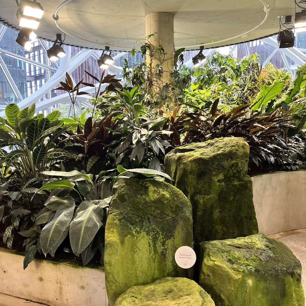 Amazon Spheres - Botanical Gardens Near Me - Seattle, Washington Amazon Spheres - Botanical Gardens Near Me - Seattle, Washington