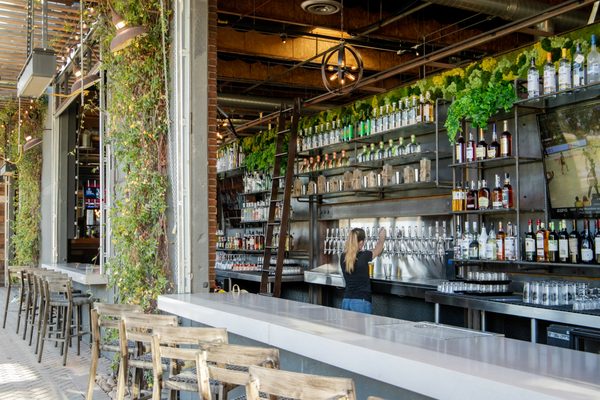 Draft Republic San Marcos by null