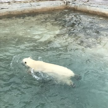 Toronto Zoo - Zoos Near Me - Toronto, Ontario Toronto Zoo - Zoos Near Me - Toronto, Ontario