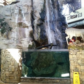 Bass Pro Shops - Grapevine - Hunting & Fishing Supplies Near Me - Grapevine, Texas Bass Pro Shops - Grapevine - Hunting & Fishing Supplies Near Me - Grapevine, Texas