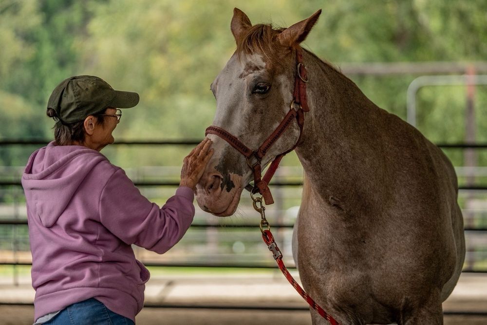 Courageous Connections - social services organization in Marysville, WA