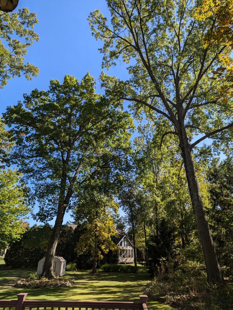 Ahlum & Arbor Tree Preservation - tree service in Columbus, OH