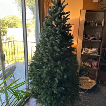 Brent's Christmas Trees - Six foot Noble Fir Christmas tree. - Christmas Trees Near Me - Oakland, California Brent's Christmas Trees - Six foot Noble Fir Christmas tree. - Christmas Trees Near Me - Oakland, California