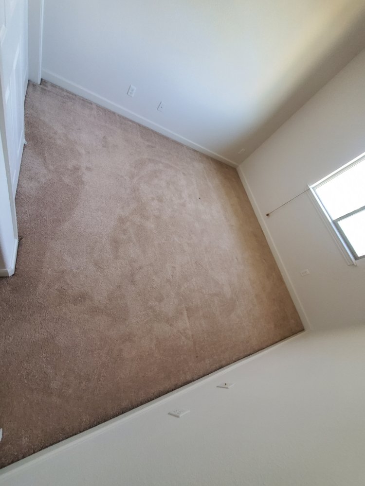 ACES CARPET CLEANER Updated September 2024 41 Photos & 12 Reviews