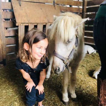 Happi Farm - Community Service/Non-Profit Near Me - Davie, Florida Happi Farm - Community Service/Non-Profit Near Me - Davie, Florida