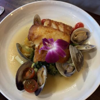 Madre Osteria & Bar - Cod with clams - Wine Bars Near Me - Milton, Massachusetts Madre Osteria & Bar - Cod with clams - Wine Bars Near Me - Milton, Massachusetts