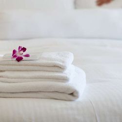 M Star Hotel Mansfield - Mstar HotelMansfield Mansfield OH Guestroom TwoDouble