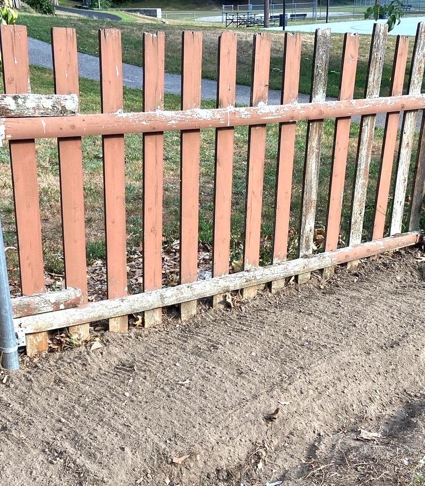 Davis Park Community Garden