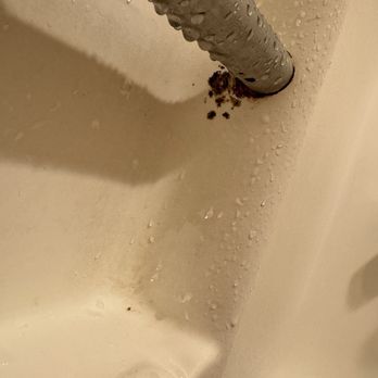 Dana Point Marina Inn - Shower mold - Hotels Near Me - Dana Point, California