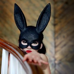 Follow The Rabbit Bar