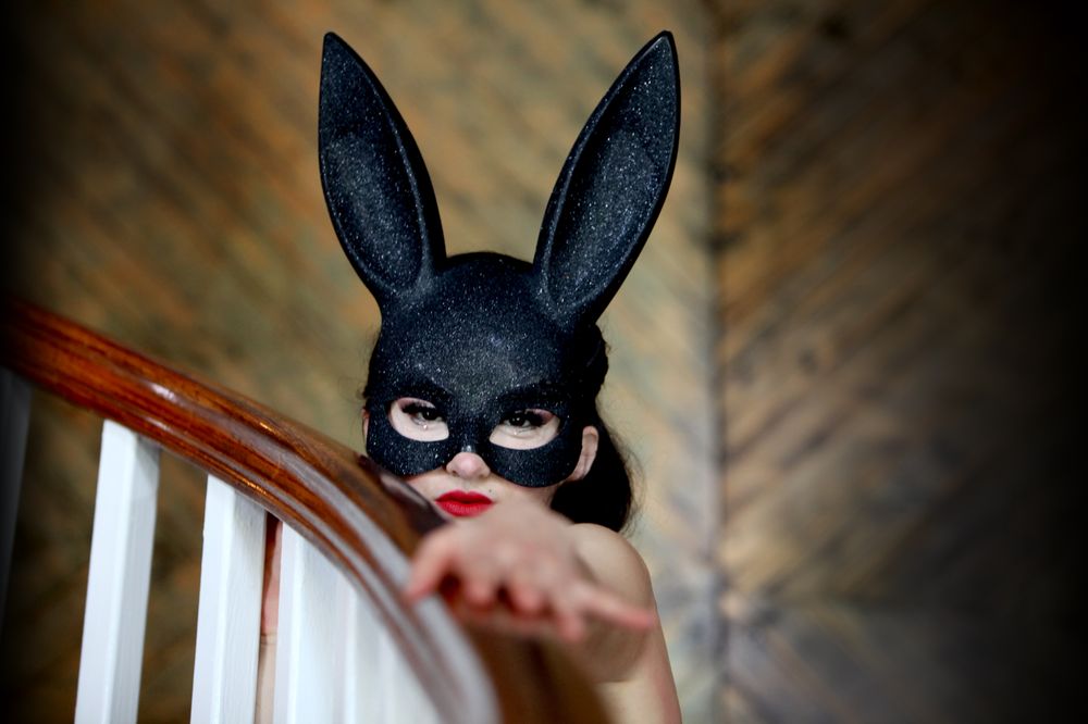 FOLLOW THE RABBIT BAR - Updated January 2026 - 27 Photos & 12 Reviews